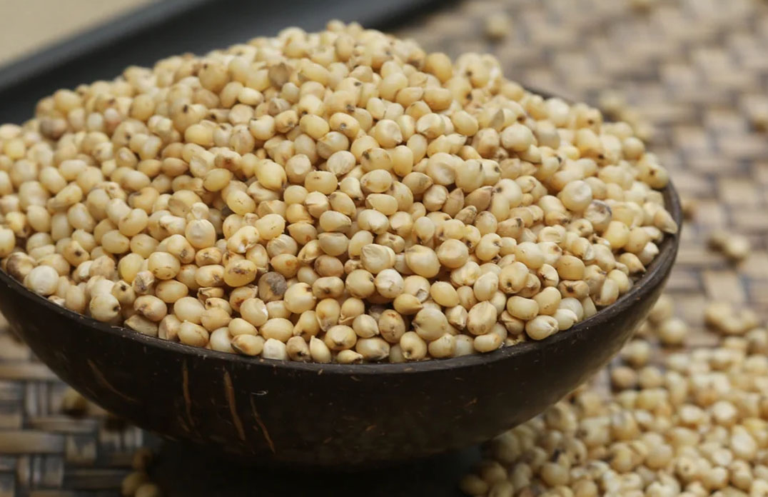 Great Millets
